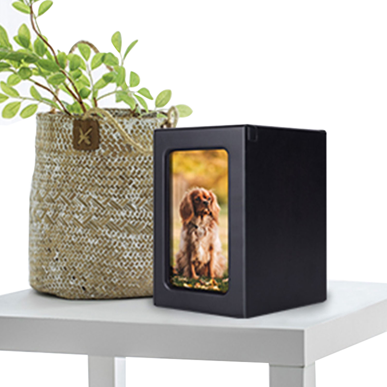 Wooden Pet Urns Wooden Cremati – обзор и цена Engraved Wood Frame