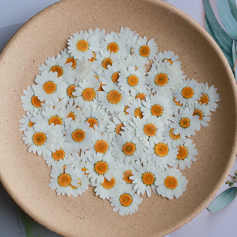 60X Pressed Dried Natural Whit – обзор и цена Dried Flower Bookmark