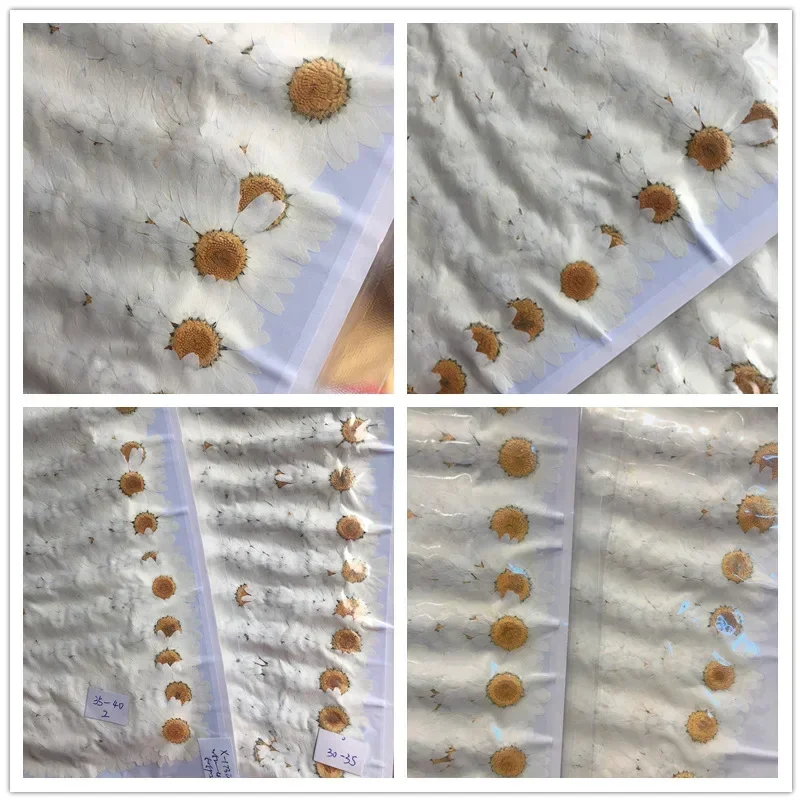 60X Pressed Dried Natural Whit – обзор и цена Dried Flower Bookmark