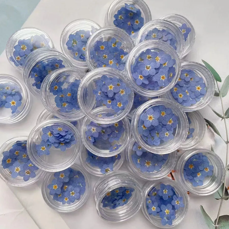 100pcs Pressed Dried Mini Blue – обзор и цена Dried Flower Bookmark