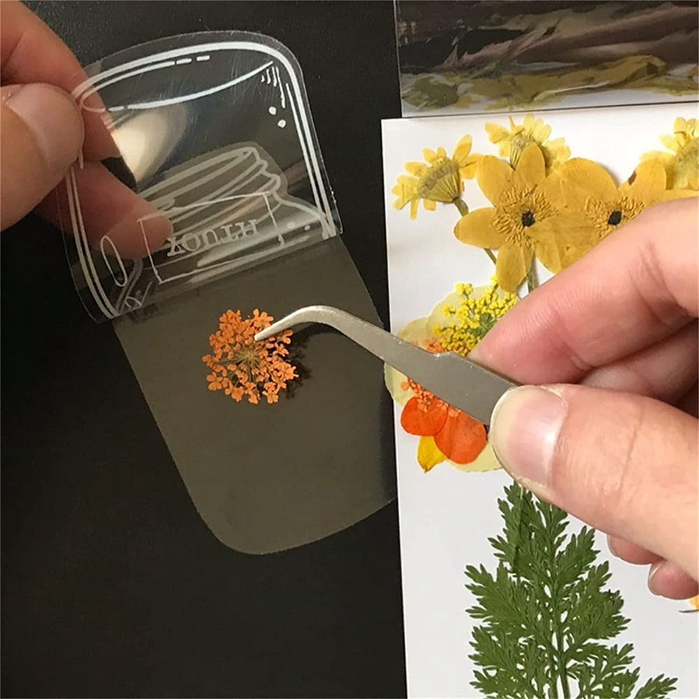 30Pcs Handmade DIY Transparent – обзор и цена Dried Flower Bookmark