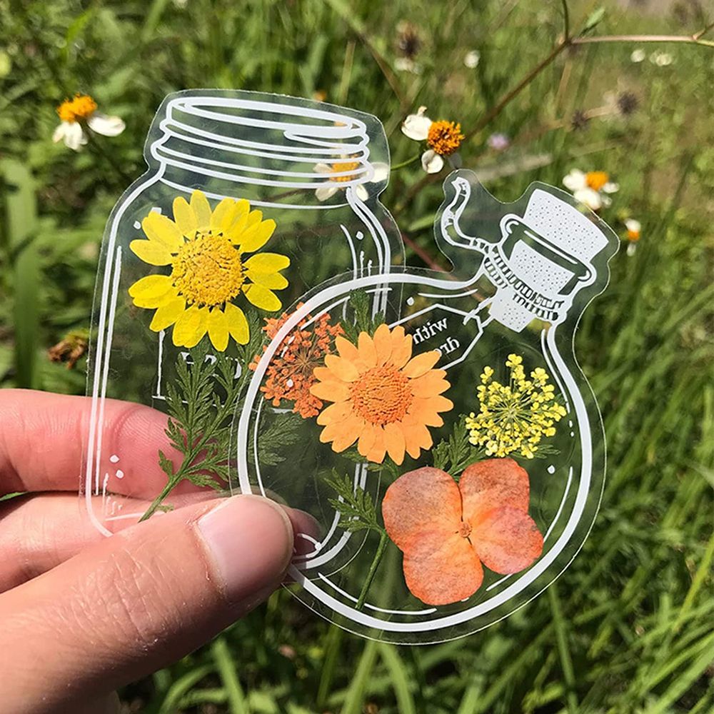 30Pcs Handmade DIY Transparent – обзор и цена Dried Flower Bookmark
