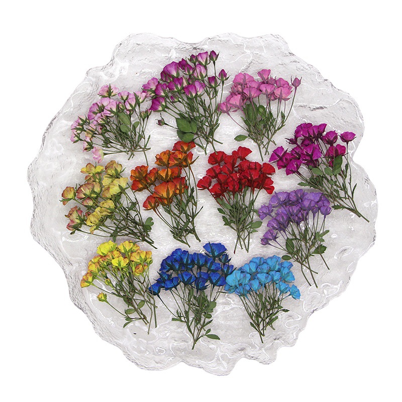 36X Pressed Dried Multi-heads  – обзор и цена Dried Flower Bookmark