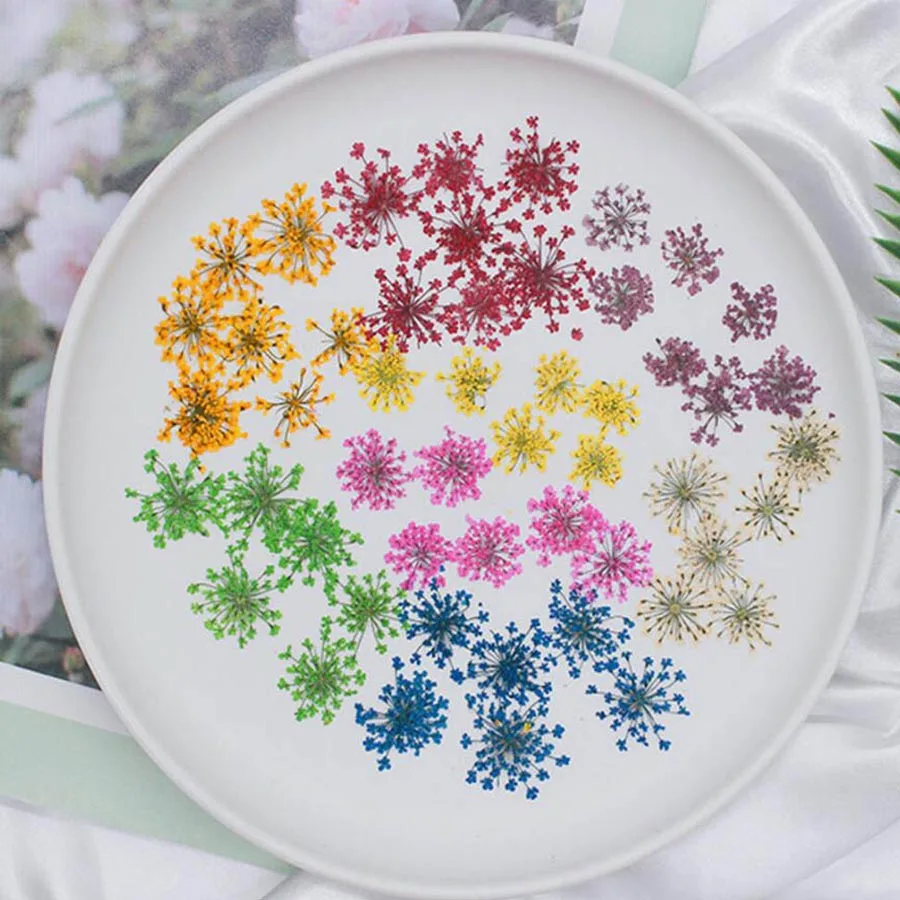 60pcs Pressed Dried 20-25mm Am – обзор и цена Dried Flower Bookmark