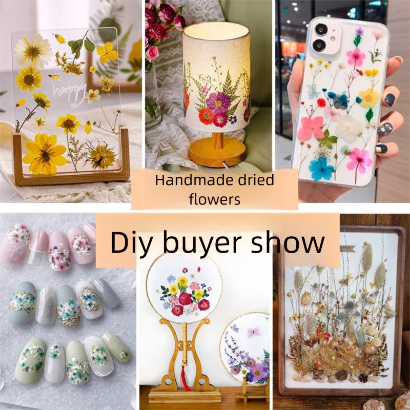 Mixed Dried Flowers, Pressed F – обзор и цена Dried Flower Bookmark