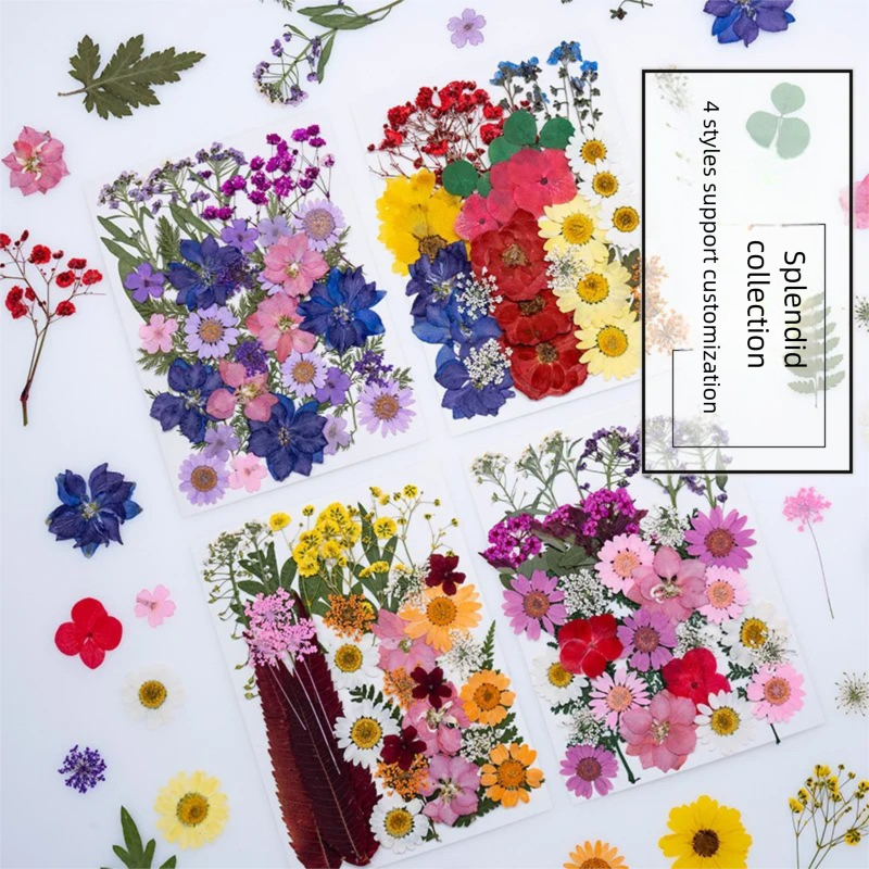 Mixed Dried Flowers, Pressed F – обзор и цена Dried Flower Bookmark