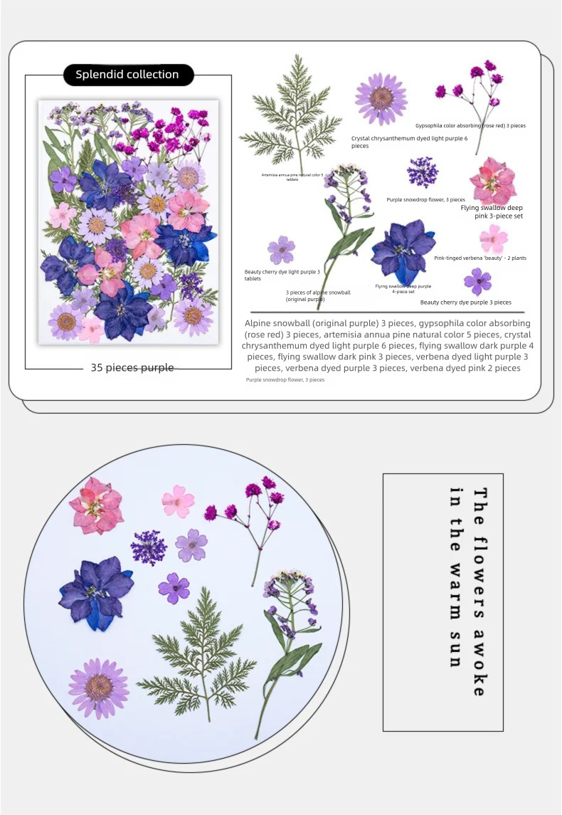 Mixed Dried Flowers, Pressed F – обзор и цена Dried Flower Bookmark