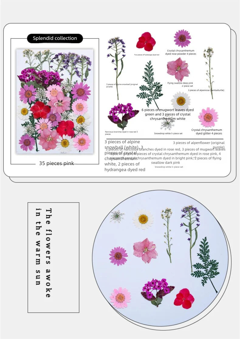 Mixed Dried Flowers, Pressed F – обзор и цена Dried Flower Bookmark