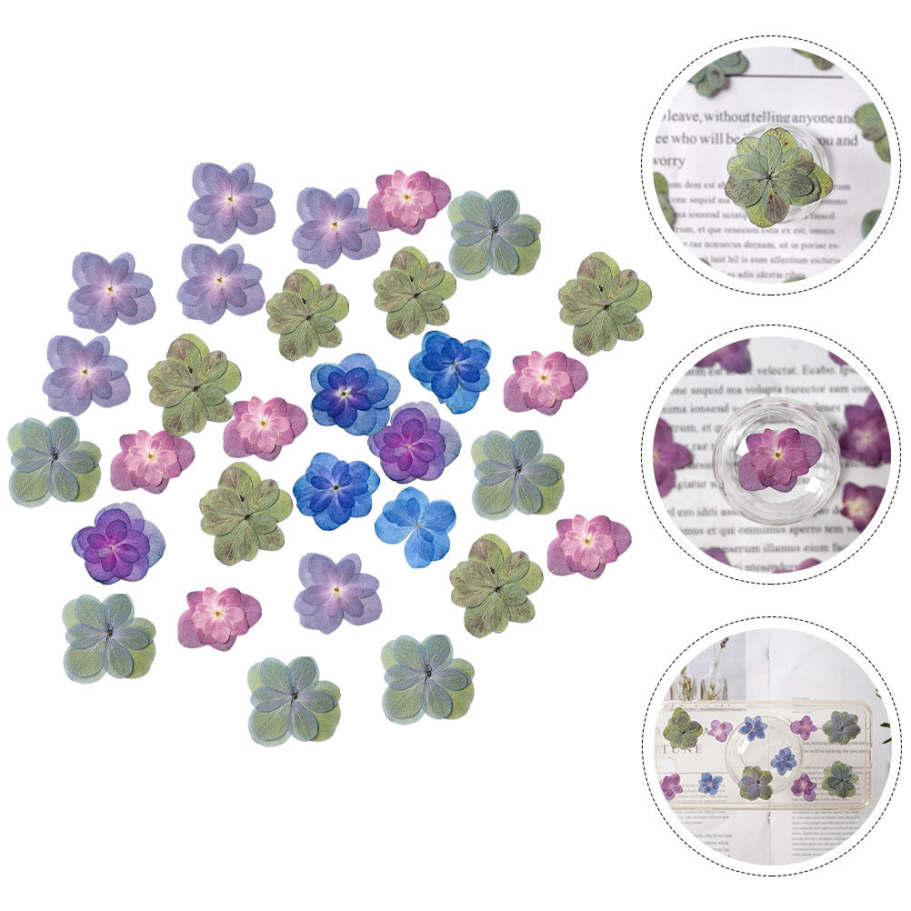 30Pcs Multicolored Pressed Dri – обзор и цена Dried Flower Bookmark