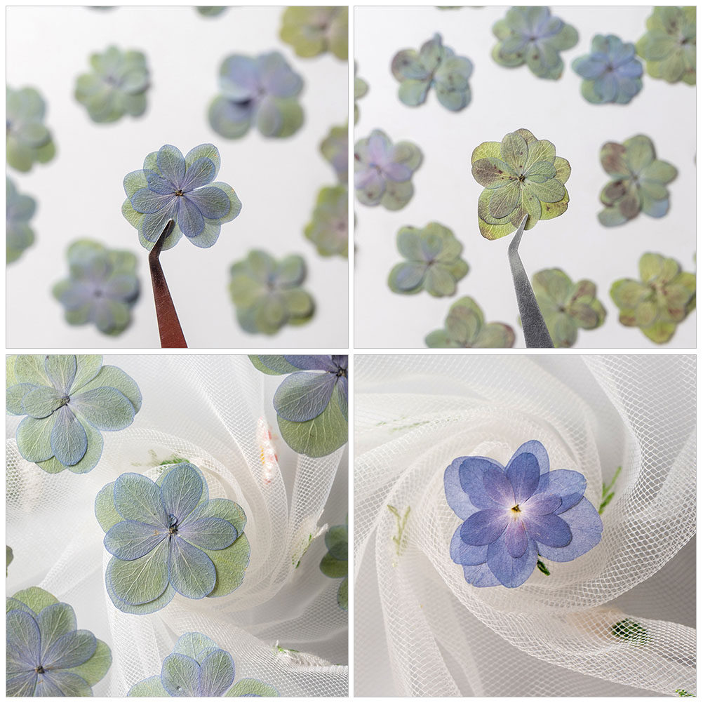 30Pcs Multicolored Pressed Dri – обзор и цена Dried Flower Bookmark