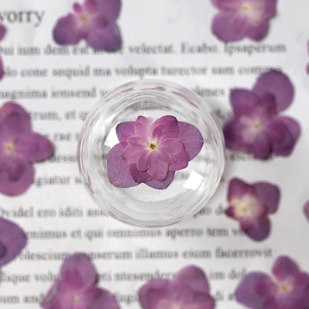 30Pcs Multicolored Pressed Dri – обзор и цена Dried Flower Bookmark