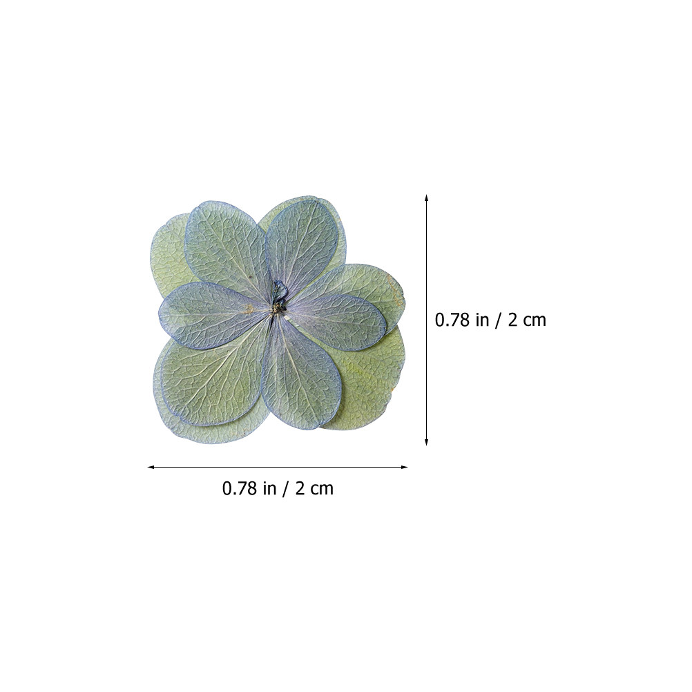 30Pcs Multicolored Pressed Dri – обзор и цена Dried Flower Bookmark