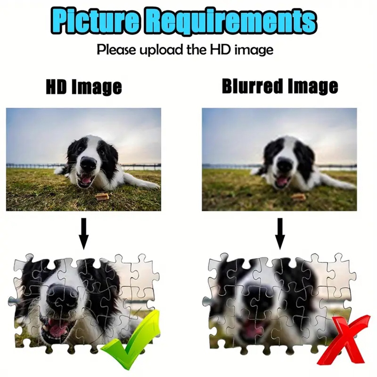 35/300/500/1000pcs Personalize – обзор и цена Pet Portrait Custom
