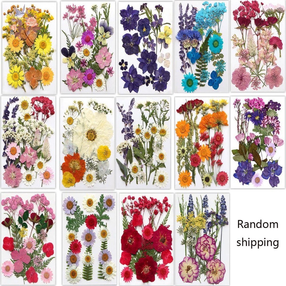 Handmade Pressed Dried Flowers – обзор и цена Dried Flower Bookmark
