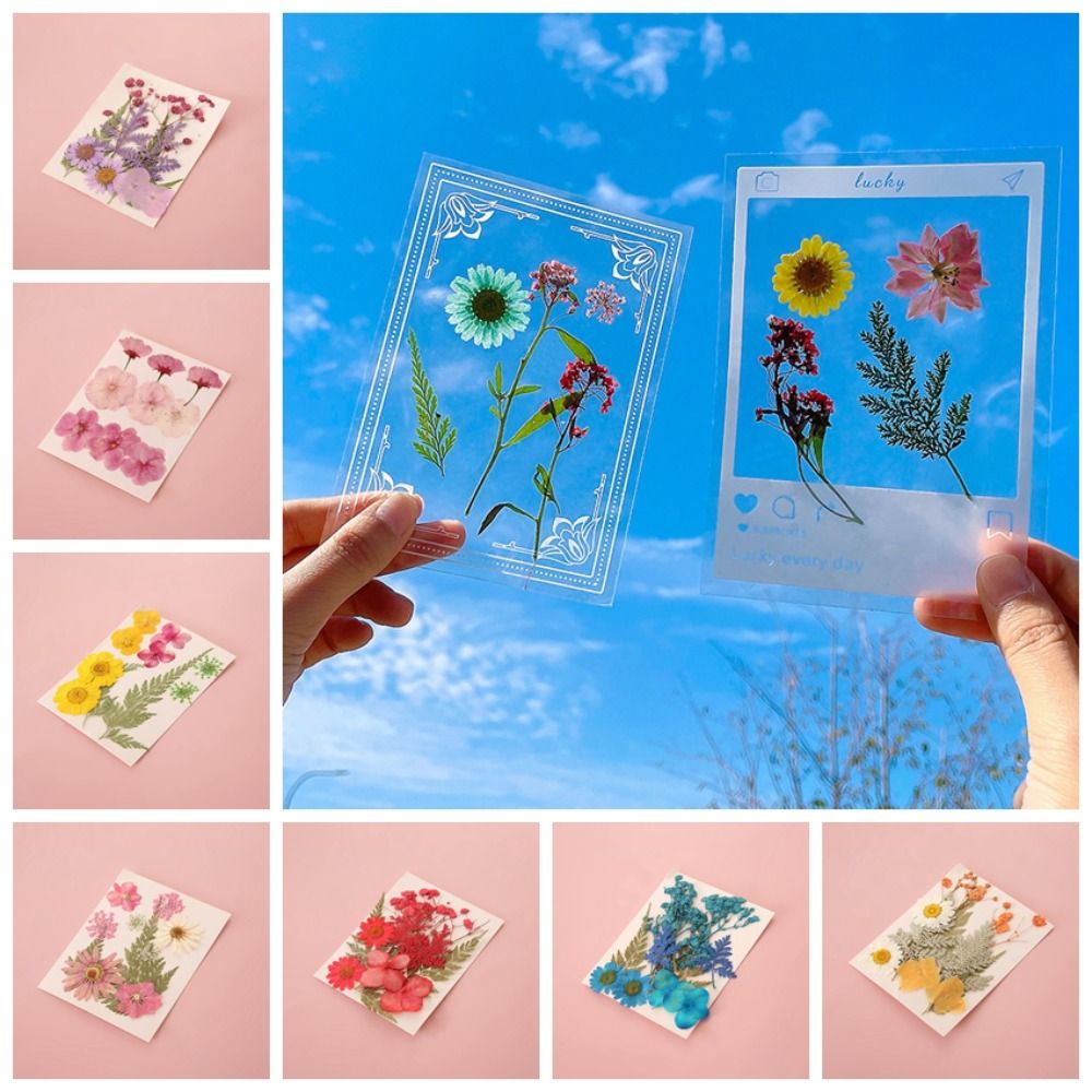DIY Materials DIY Dried Flower – обзор и цена Dried Flower Bookmark