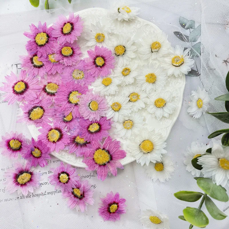 24pcs/2-4CM,Natural Pressed Fl – обзор и цена Dried Flower Bookmark