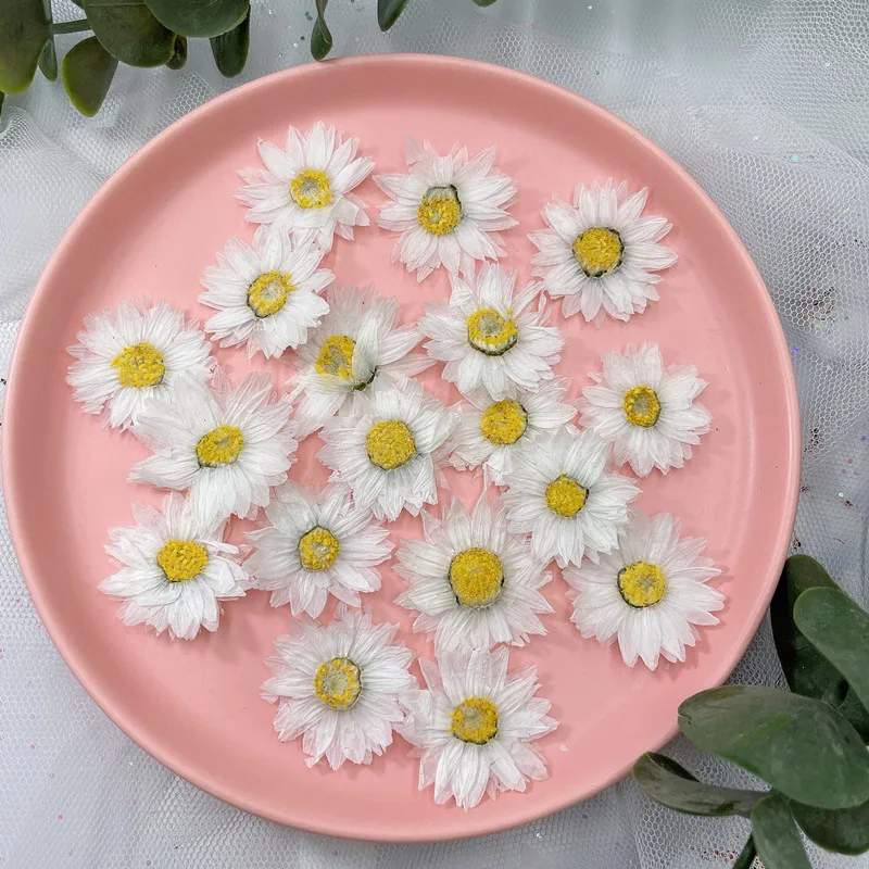 24pcs/2-4CM,Natural Pressed Fl – обзор и цена Dried Flower Bookmark