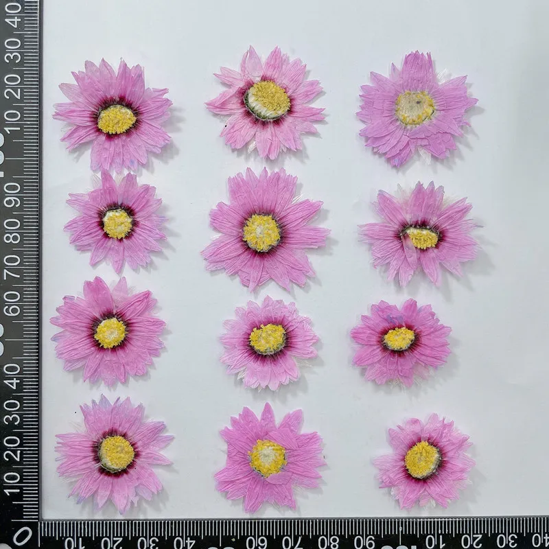 24pcs/2-4CM,Natural Pressed Fl – обзор и цена Dried Flower Bookmark